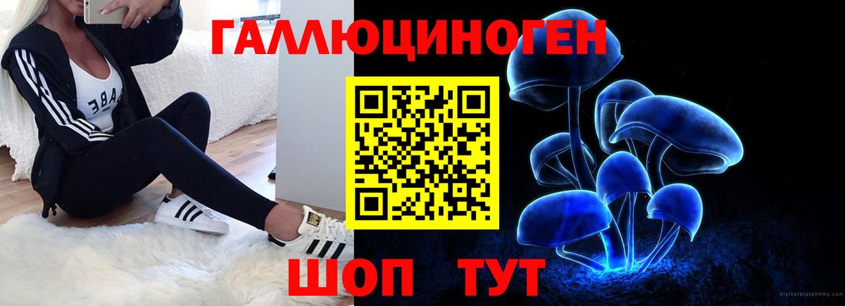 Железноводск  Галлюциногенные грибы GOLDEN TEACHER  Вход с VPN  Псилоцибиновые грибы ЛСД 