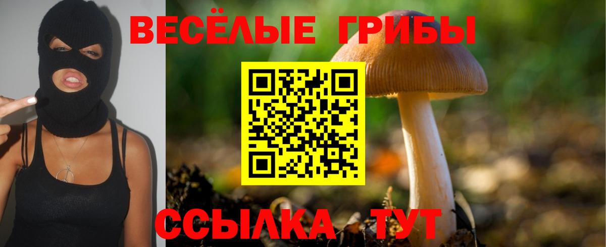 Галлюциногенные грибы мицелий Железноводск